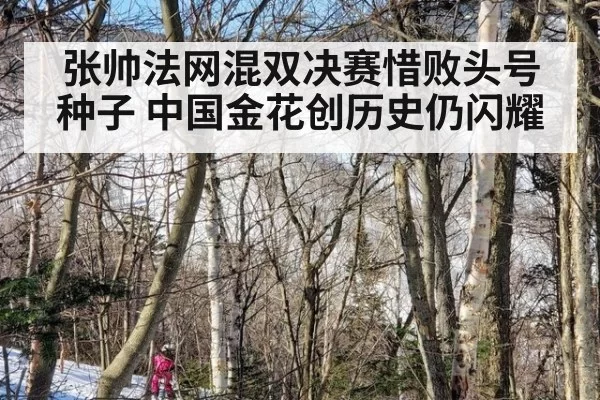 张帅法网混双决赛惜败头号种子 中国金花创历史仍闪耀